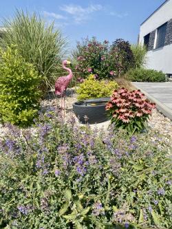 Rozkvetlé Dačice Rozkvetlé Dačice