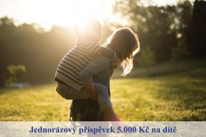 příspěvek